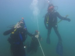 immersioni-estate22 24